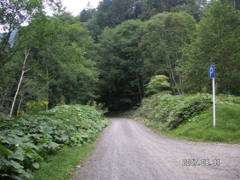 s_PICT0652.jpg
